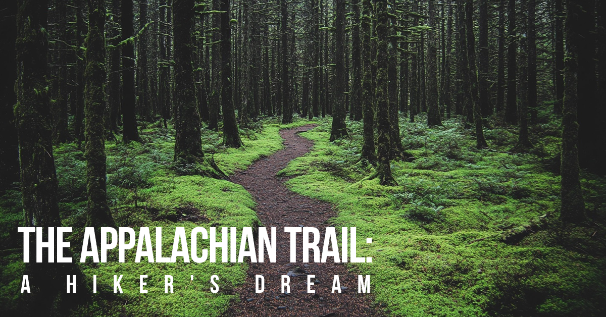 FUN-The Appalachian Trail_ A Hiker's Dream